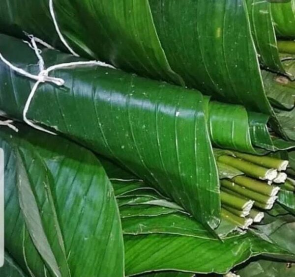 Fresh Moi Moi Leaves – Essential for Authentic Nigerian Moi Moi