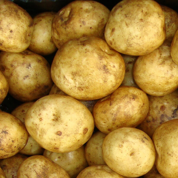 Irish Potatoes – Fresh, Nutritious & Perfect for a Variety of Dishes 4kg