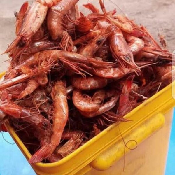Oporo (Half Rubber) – Fresh, Nutritious, and Perfect for Traditional Nigerian Dishes