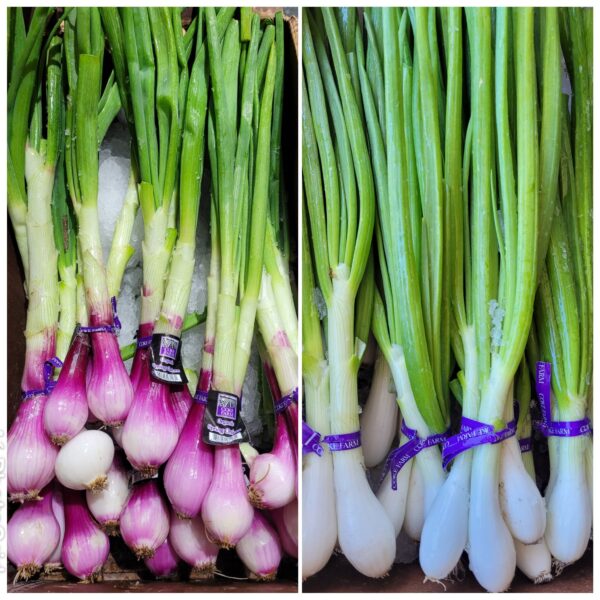 Fresh Spring Onions (1 Head) – Perfect for Flavorful Cooking