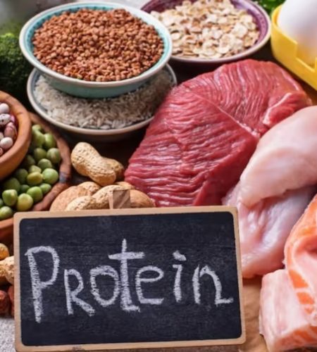 Which-foods-are-rich-in-protein